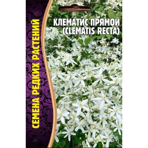    (Clematis Recta) (5 ) 240