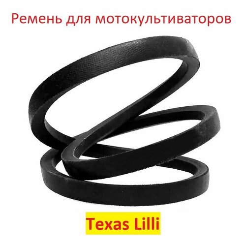       Texas Lilli 745