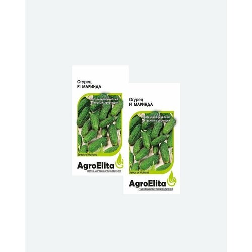    F1, 5, AgroElita, Seminis(2 ) 390