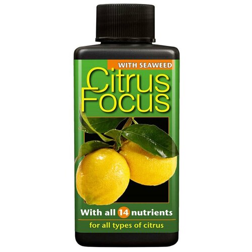      Citrus Focus Growth Technology 100 . 770