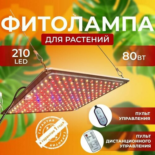             Quantum board 80  210 LED 6000