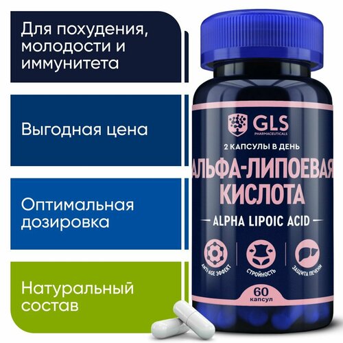    / Alpha Lipoic 100 ,     ,     , 60  580