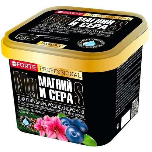  Bona Forte Professional  ,       1 , ,    880 