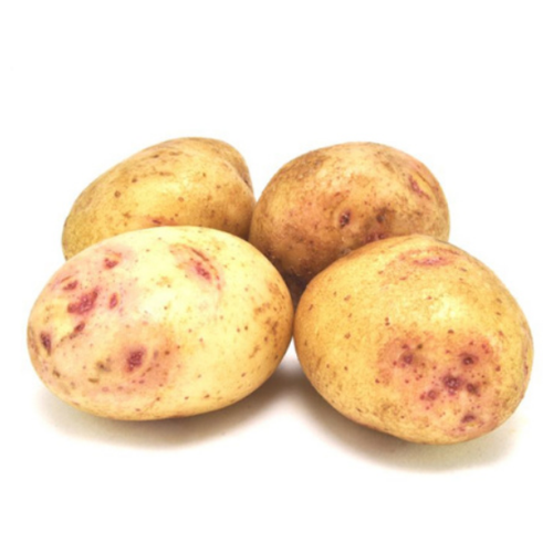 Семенной картофель синеглазка (суперэлита) 899р