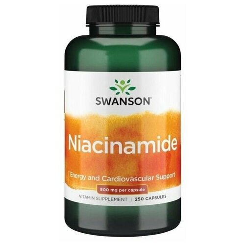   Swanson Niacinamide 500 mg (250 ) 1614