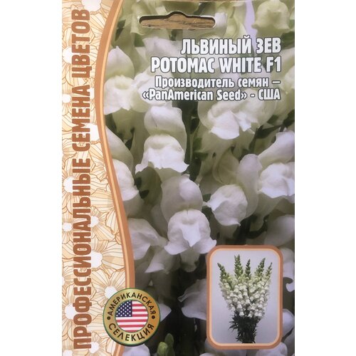    () (Antirrhinum majus Potomac) Potomac White F1 (5 ), ,    208 