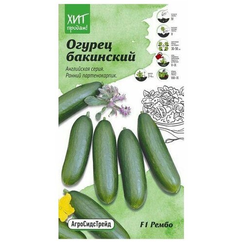 ������ ������� ����� F1, ����, ������ ������ �� 198 ���