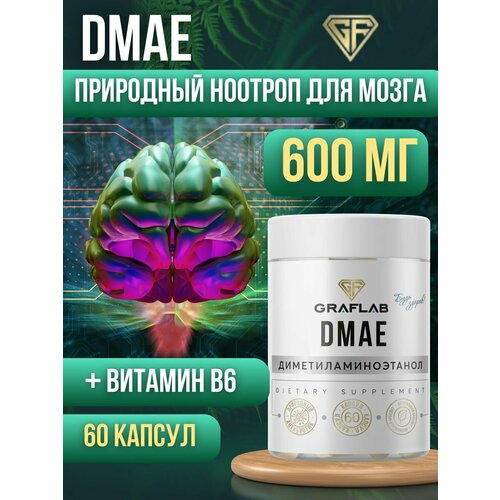 Dmae,  ,   , 600 , 60  461