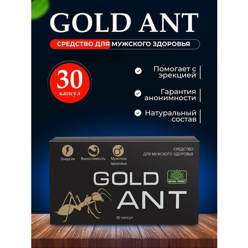   Gold Ant ,  ,    30  480