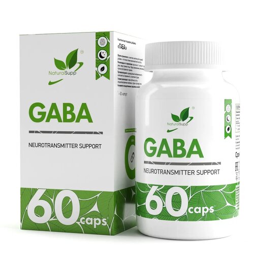 GABA ., 200 , 60 . 531