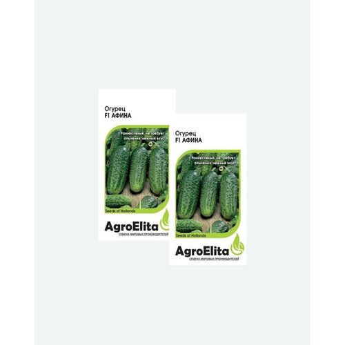    F1, 5, AgroElita, Nunhems(2 ), ,    393 
