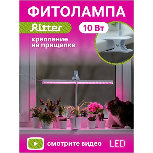        Ritter 56304 4, 10, 5722132. C 5 LED ,  , .  ,  2. 2475