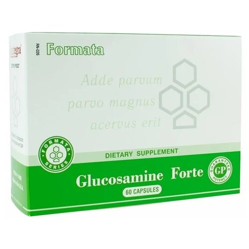 Glucosamine Forte ����., 300 ��, 130 �, 60 ��., 1 ��., ����, ������ ������ �� 7710 ���