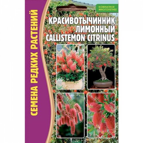    (Callistemon citrinus) (0,1 ) 210