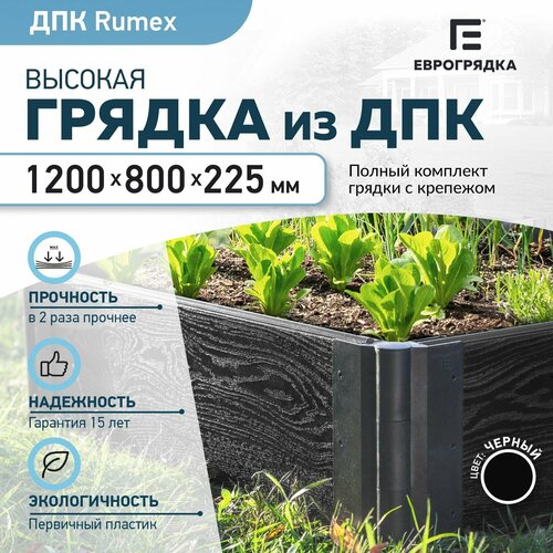    Rumex 1.20.8 , (: 22530 , : ) 6090