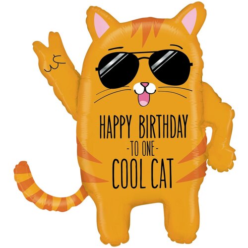  HB TO ONE COOL CAT  544