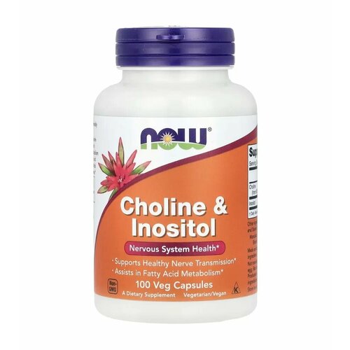 NOW Choline & Inositol    , 500mg 100 Veg Caps 1510