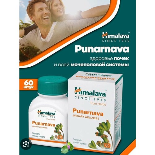  (Punarnava) Himalaya, 60  704