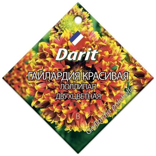  Darit    , 0.1  53