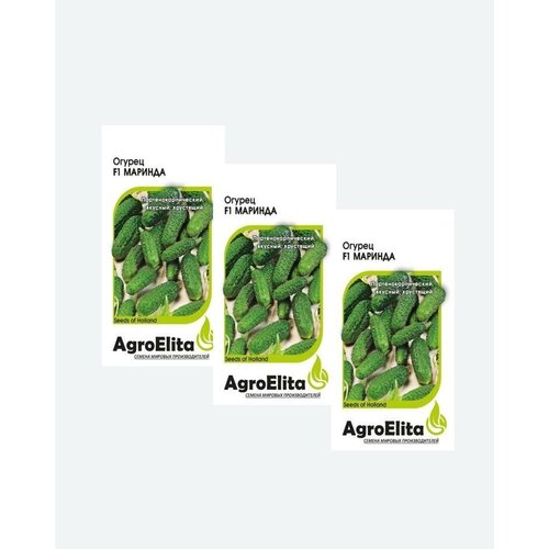    F1, 5, AgroElita, Seminis(3 ), ,    432 