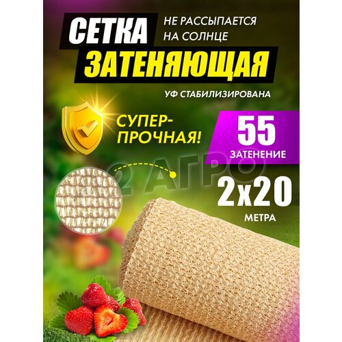����� ���������� 55% 2�20 ������� ��� �������, ����, ������ ������ �� 1900 ���