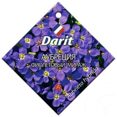  Darit 