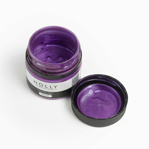 Holly Professional     /   ,    Color Gel Violet 530