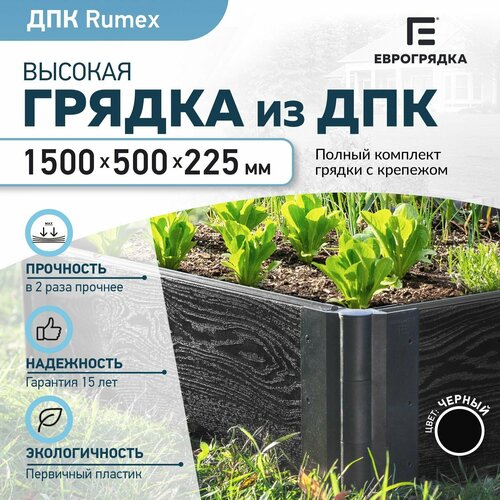    Rumex 1.5x0.5 , (: 22530 , : ) 6090