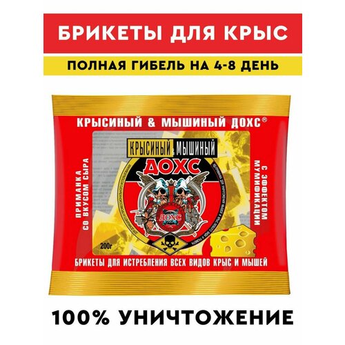 ������ ��� ����� � ����, ����, ������ ������ �� 534 ���