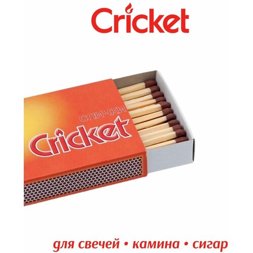   Cricket 255