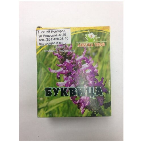  ,  1,5*20 -   (Betonica officinalis L.) 315