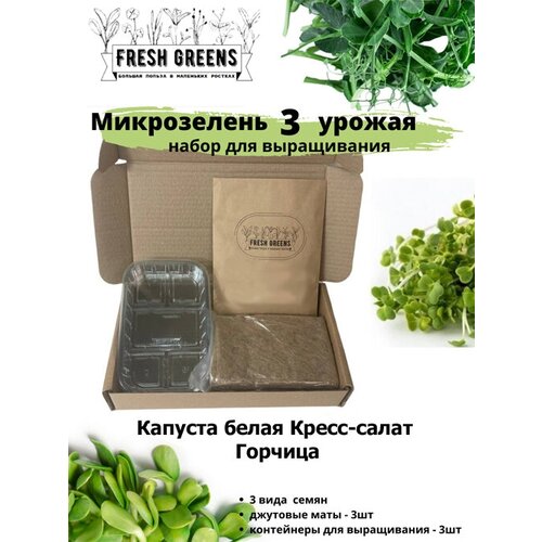     Fresh Greens (  - ), ,    386 