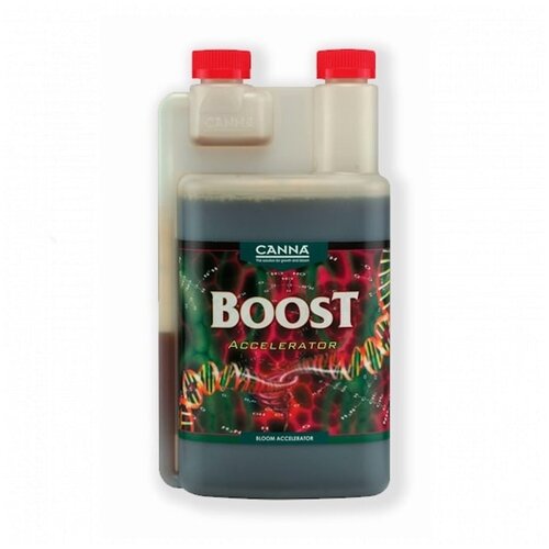  CANNA BOOST ACCELERATOR 1 10000