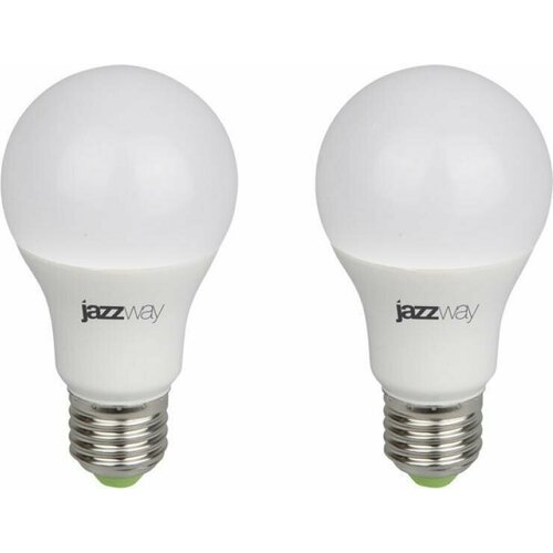        JazzWay PPG Agro Frost 9W E27  (  2 ), ,    698 