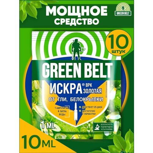    ,  Green Belt ( ) 10   1  990