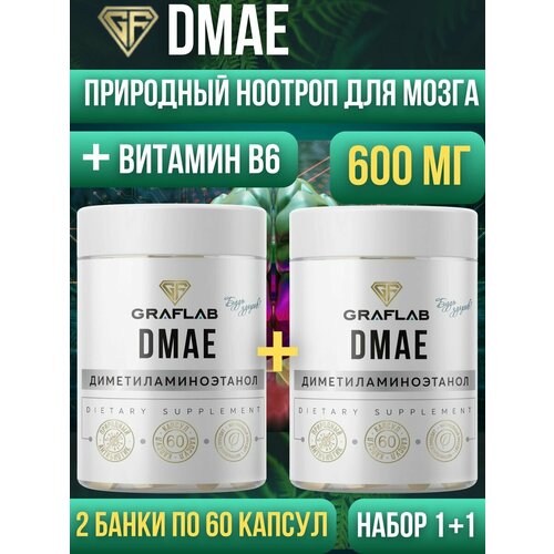 Dmae,  , 600 , 2   60  841