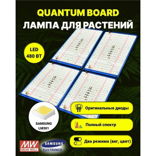   / quantum board c  Samsung LM-301,  480 , Mean Well, 5000,   28490