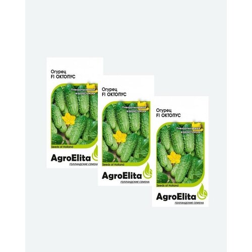    F1, 10, AgroElita(3 ) 399