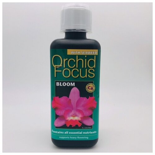    Orchid Focus Bloom  300 1163