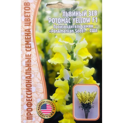    () (Antirrhinum majus Potomac) Potomac Yellow F1 (5 ) 208