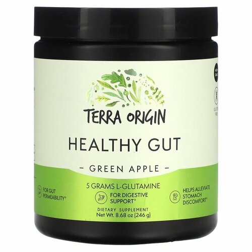 Terra Origin, Healthy Gut,  , 246  7749