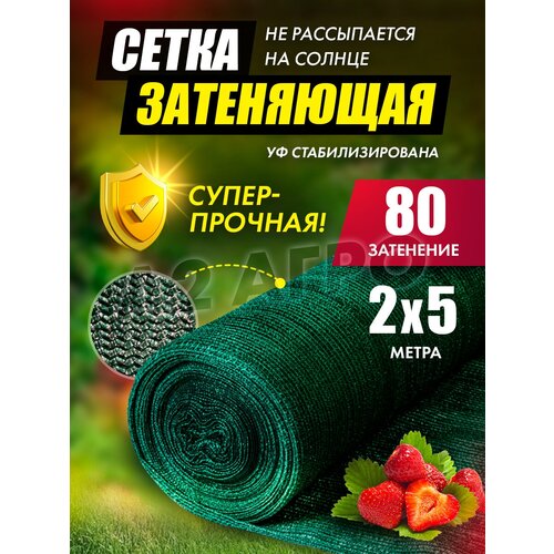����� ���������� 80% ��� ���� 2�5, ����, ������ ������ �� 700 ���