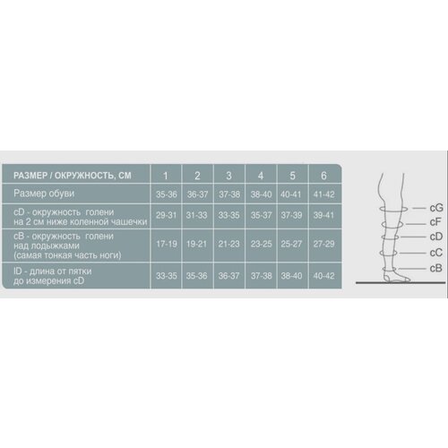  Ergoforma 211      , , 1 , : 2,  1490