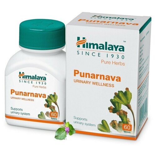  Himalaya Wellness Pure Herb 60 . 545