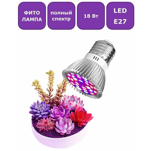   (  )   Maple Lamp PhytoLED, 27, 18 , . Q0048-E27-18-Full, ,    584 