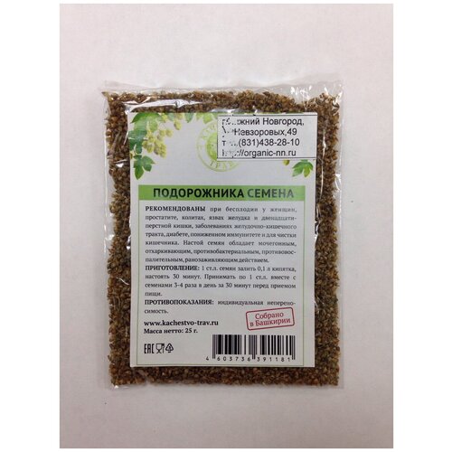 ,  25   (. Plantago) 480