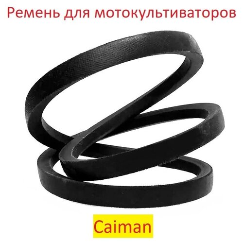      CAIMAN ELITE 60S D2, 0306030002, 0306030058. 745