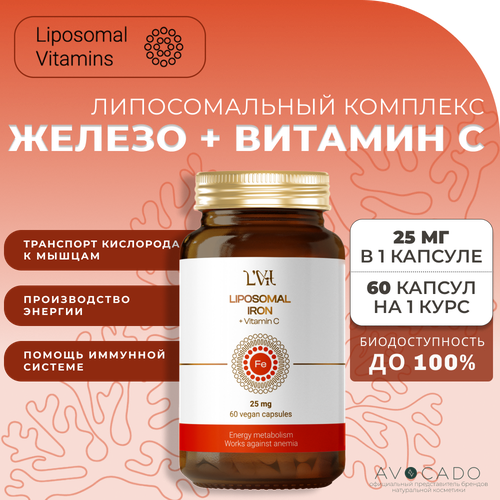 Liposomal Vitamins    +  C, 60  3580