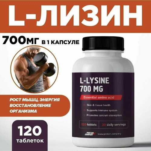  700 .    .    , ,  .  . l-lysine, 120 ,   782