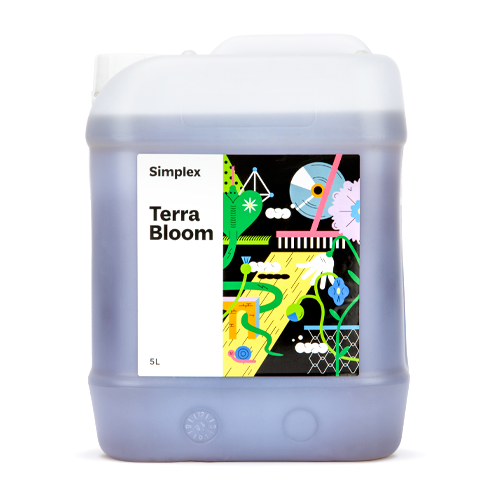 Simplex Terra Bloom 5    4200